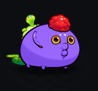 SUMMER TURTLE GIVEAWAY: Giving away this Axie because even though it has a turtle on it's back it is genuinely hurting my eyes every time I see it in my inventory. 

To enter: Like, RT, and don't tag a single person cause people hate that shit. Will be drawing 72 hours from now.