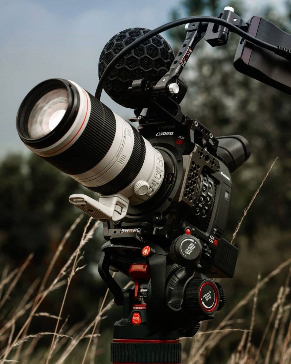 The Canon C200 series delivers some serious quality for the price. It is a strong contender for filmmakers looking for a well rounded camera without breaking the bank! Here it's paired with the 100-400L.
.
Photo by <a href="/michaelbarok/">Michael Barok</a>
.
.
.
.
#amsterdaminternationalfilmfestival #aiff