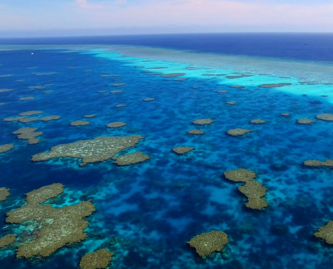 James Gilmour (@jamespgilmour) on Twitter photo Job opportunity for Spatial Ecologist at AIMS Western Australia, with experience in ecosystem modelling, seascape ecology and/or decision support: aims.gov.au/about/careers-⦠via <a href="/aims_gov_au/">Australian Institute of Marine Science</a> Job opportunity for Spatial Ecologist at AIMS Western Australia, with experience in ecosystem modelling, seascape ecology and/or decision support: aims.gov.au/about/careers-⦠via <a href="/aims_gov_au/">Australian Institute of Marine Science</a>