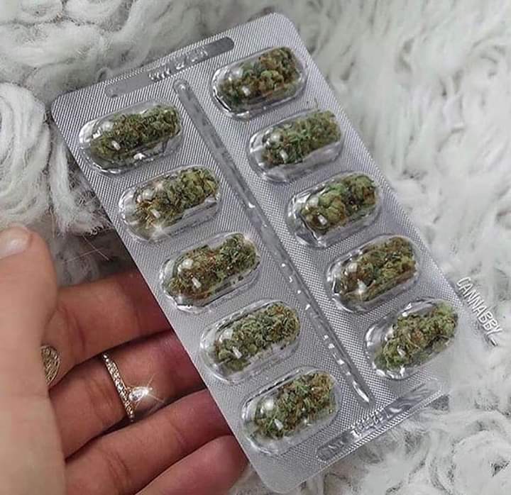 BreakinGatos's tweet image. Porrocetamol