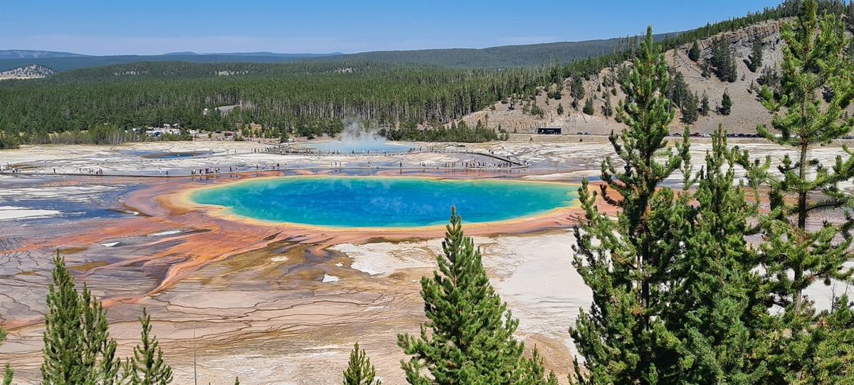 bussa76's tweet photo. 150° anniversario 🦬 #Yellowstone #NationalPark  #Wyoming https://t.co/g6mxMAsnQn