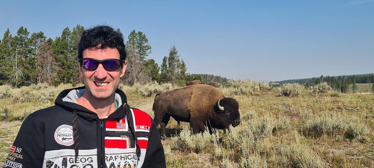 bussa76's tweet photo. 150° anniversario 🦬 #Yellowstone #NationalPark  #Wyoming https://t.co/g6mxMAsnQn