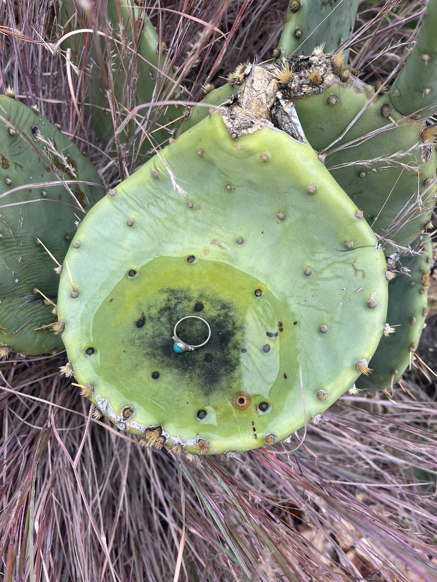 Matthew McCann (@matthewmccann72) on Twitter photo 