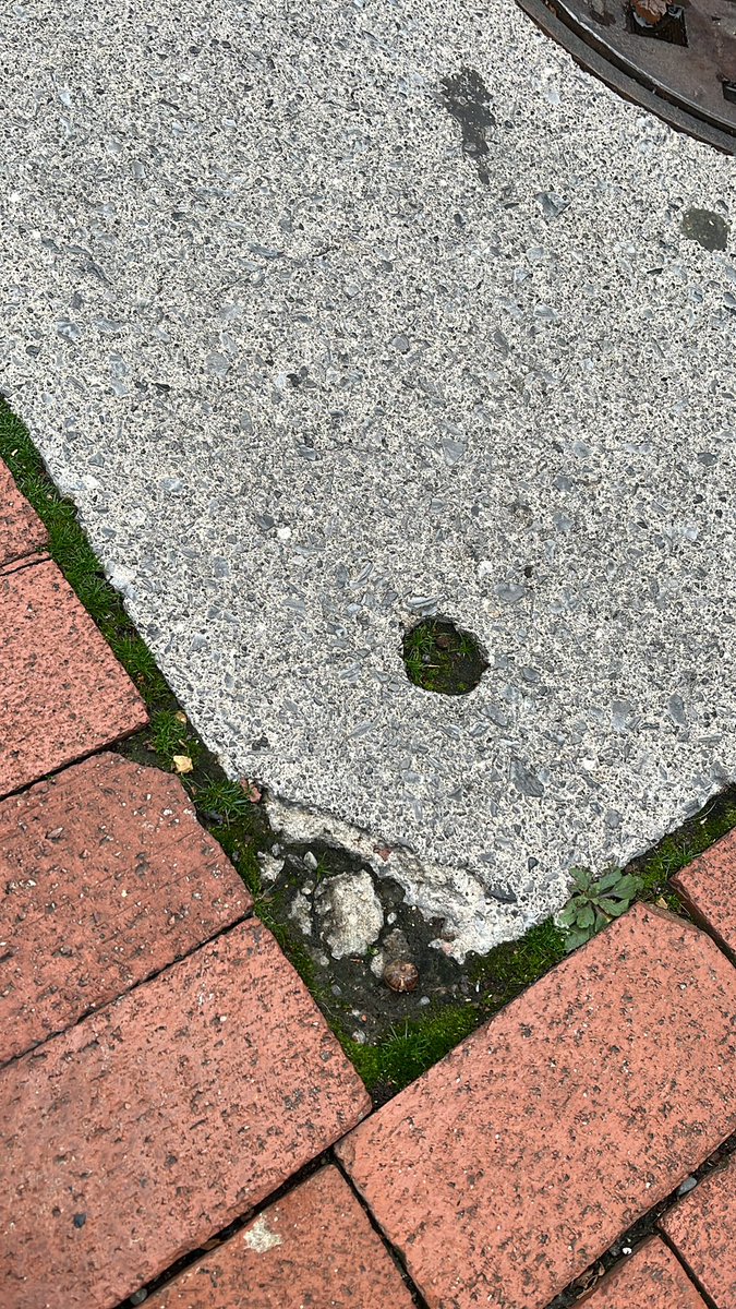 Matthew McCann (@matthewmccann72) on Twitter photo 