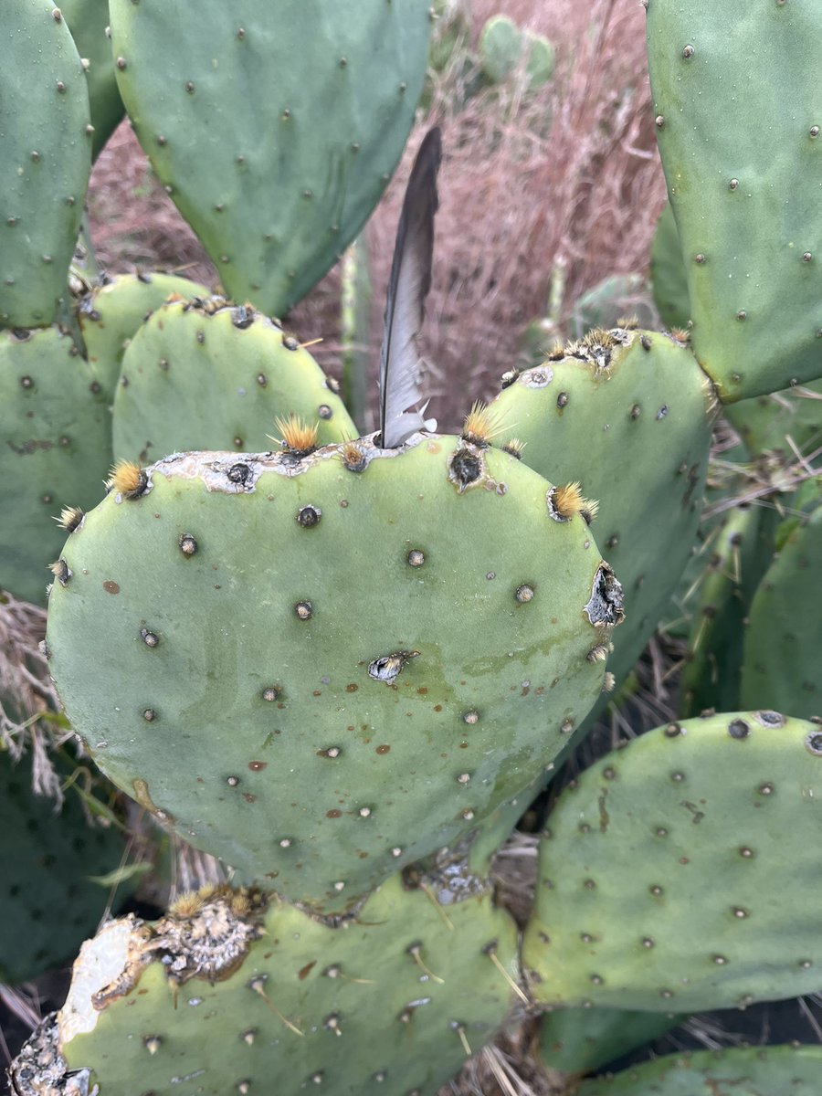 Matthew McCann (@matthewmccann72) on Twitter photo 