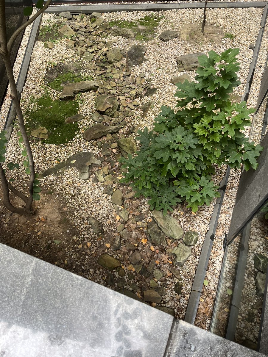 Matthew McCann (@matthewmccann72) on Twitter photo 