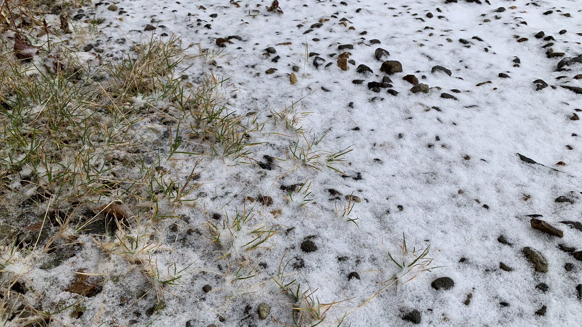Jododaira_JPN's tweet photo. 今朝の浄土平はうっすらと積雪していました。雪は降っていませんが、寒い朝です。今朝のビジターセンター玄関の最低気温は-3.0℃でした。（2022/10/26 8:30頃） #福の空 https://t.co/L4XKz73QFi