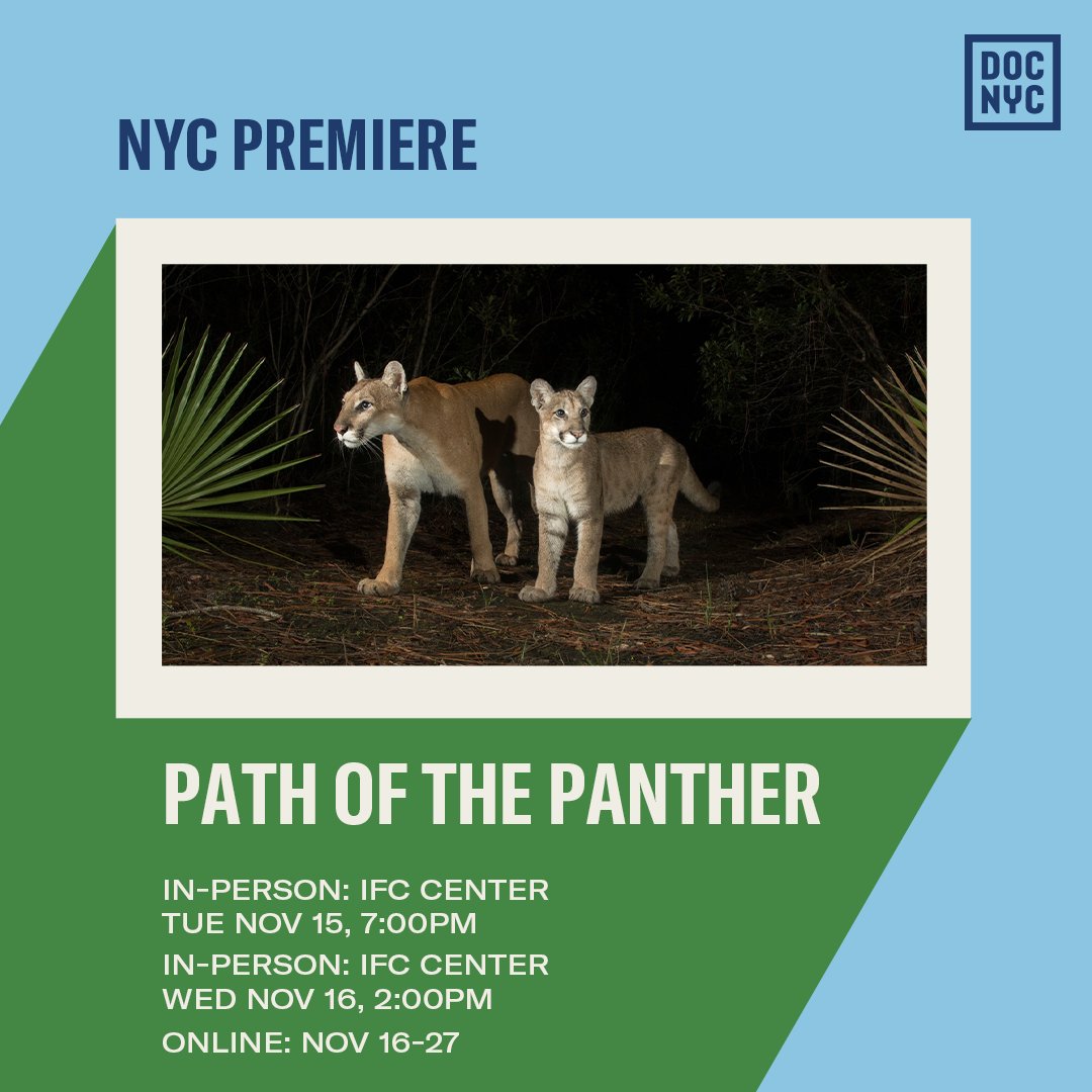 The <a href="/PathofPanther/">Path of the Panther</a> Film is coming to <a href="/DOCNYCfest/">DOC NYC</a>. Help us spread the word! Link to tickets - docnyc.net/film/path-of-t…