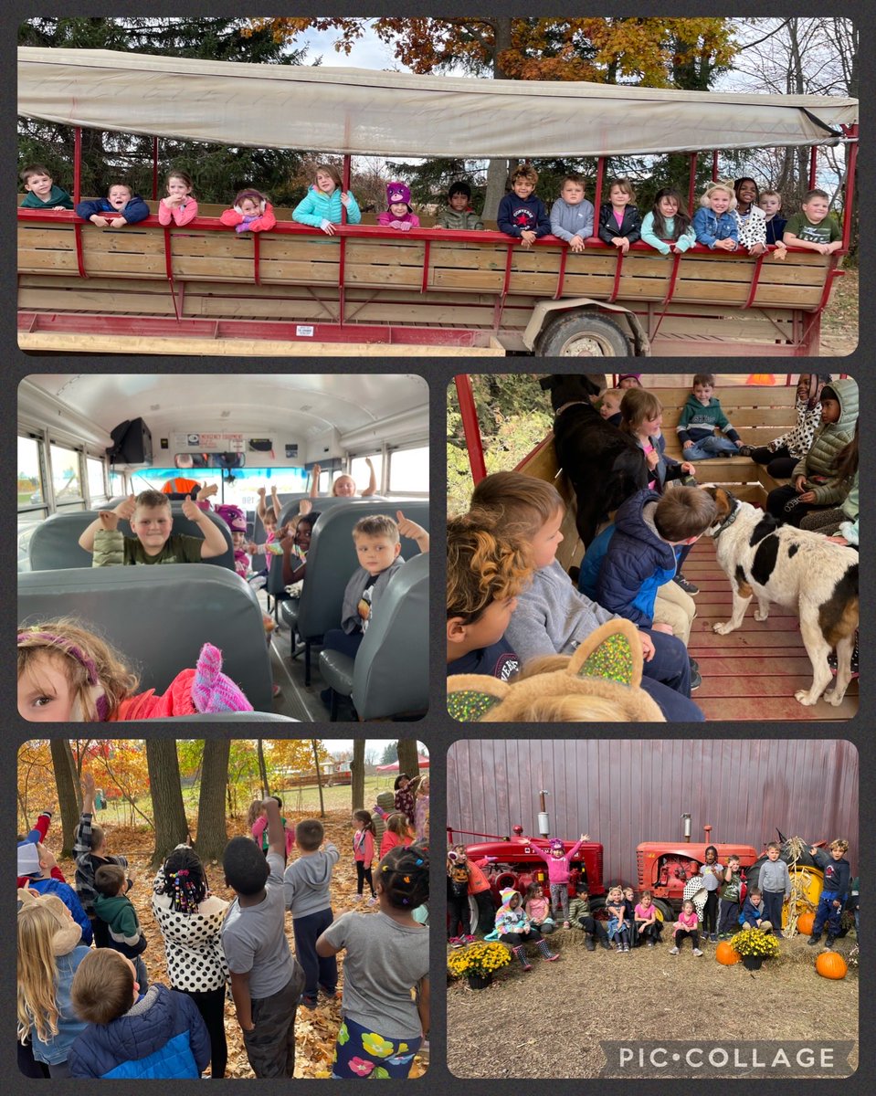 lindacinelli1's tweet photo. Great day at Brantwood Farms for primary students ⁦@madonnaroar⁩! https://t.co/zoT3uQ69lI