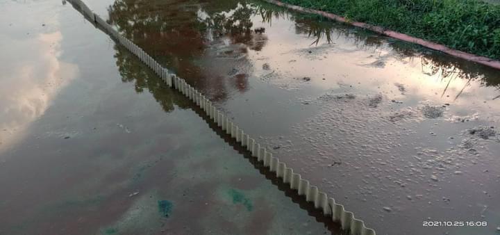 inilah salah satu cara cerdas agar pembudidaya lele tidak rugi akibat dr harga pakan yang melambung tinggi....
<a href="/BudidayaKKP/">Budidaya KKP (DJPB)</a> 
<a href="/DitPakan/">Direktorat Pakan</a> <a href="/bbpbat_sukabumi/">BBPBAT SUKABUMİ</a> @puslatluhkp <a href="/BeritaKKP/">KKP News</a>