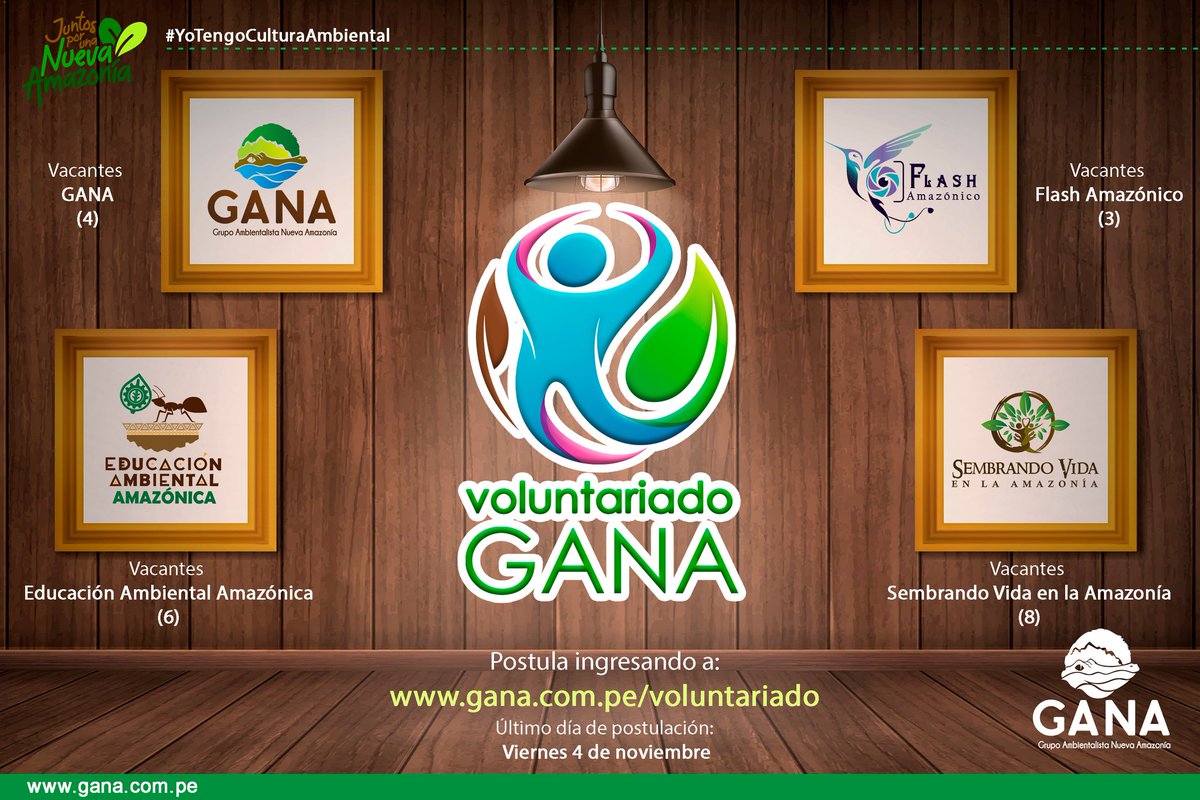 nuevaamazonia16's tweet photo. #VoluntariadoGANA
#TeamGANA
https://t.co/vmmY3Xb9ZK 🐊

✅ Únete a nuestro equipo de voluntarios y forma parte de nuestros programas institucionales 
✅ Postula ingresando a: 
https://t.co/qZupwJl2s8
✅ Recuerda, tienes hasta el 4 de noviembre para registrar tu postulación. https://t.co/duONo9ArV6