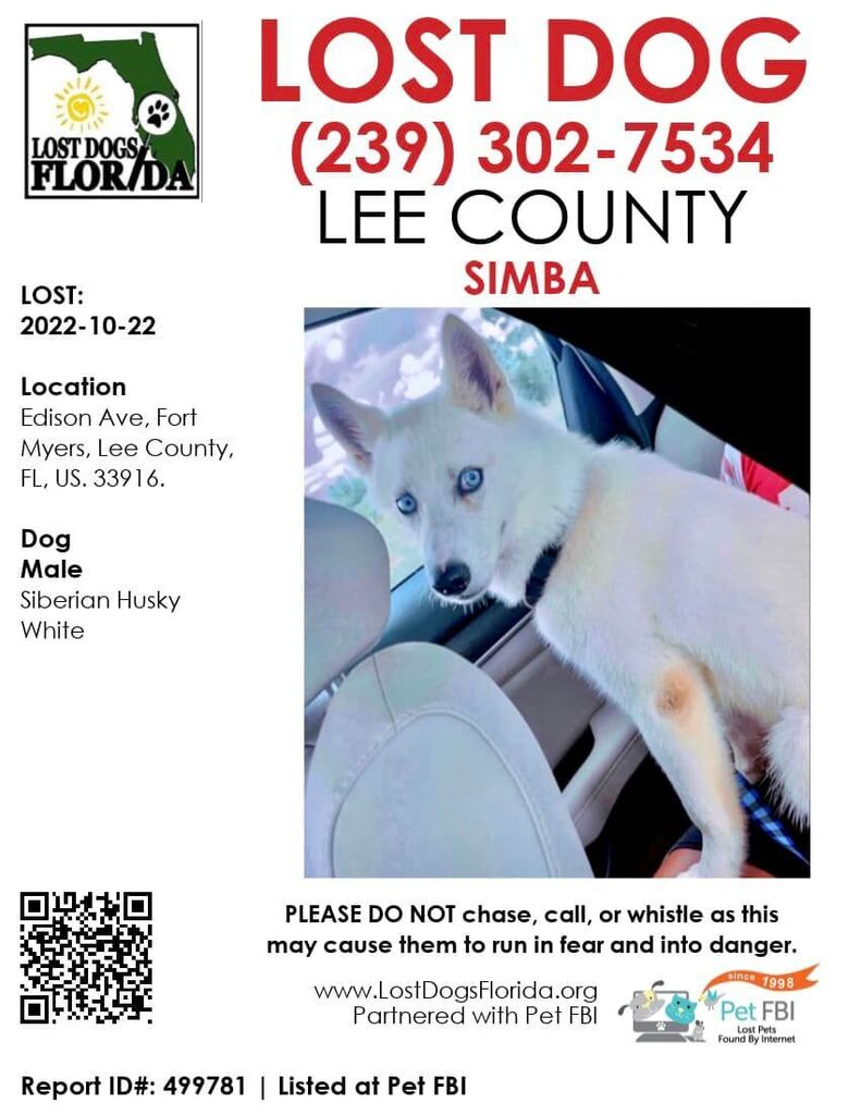 Lost Dogs Florida on Twitter: 