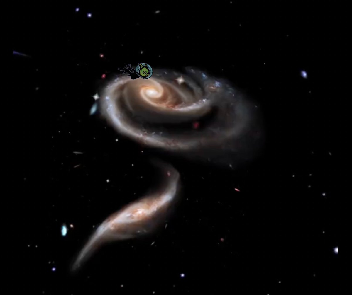 Gobstronots luv ta dive!