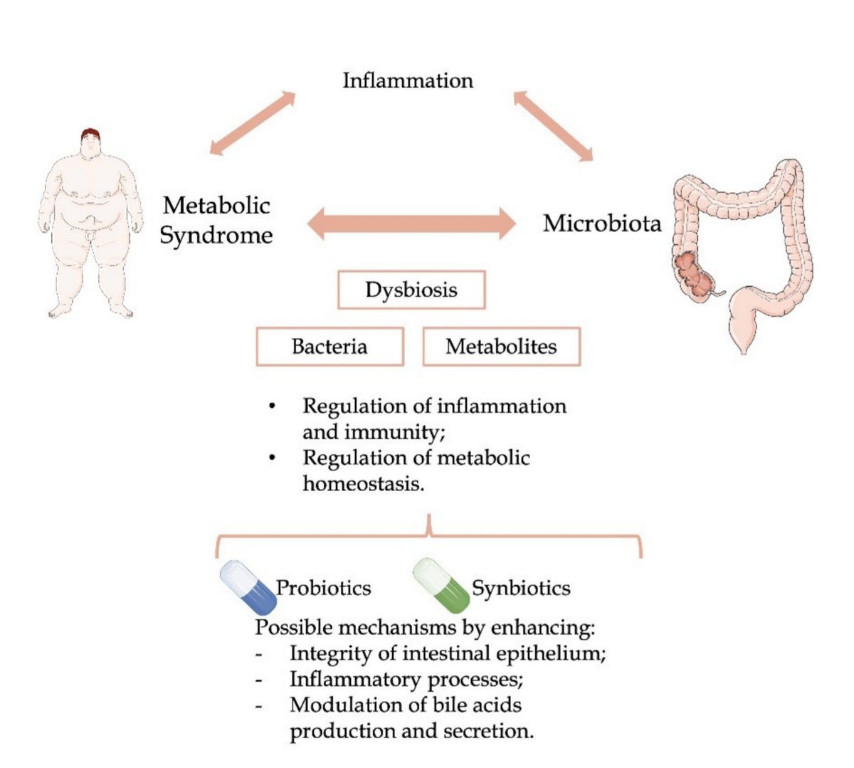 Microbiota (M) Modulation in Patients w/ Metabolic Syndrome (MS) ➡️Patients w/MS seem to have a different M composition compared to patients without MS. mdpi.com/2072-6643/14/2… @DHPSP @_INPST Mechanisms & modulation of the relationship between MS, human M & inflammation: