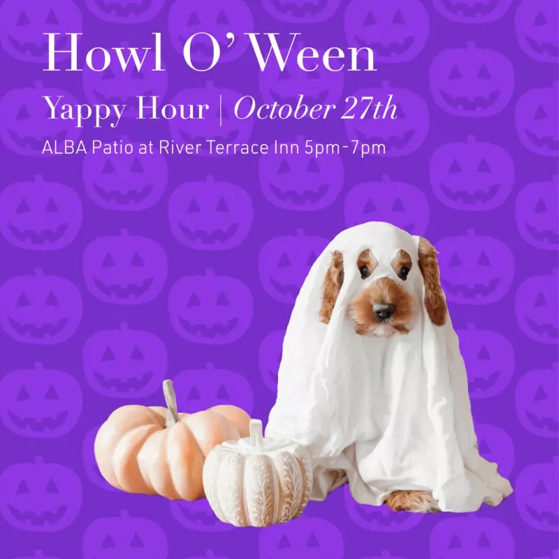 Enjoy yappy hour at ALBA on October 27th from 5:00 to 7:00.  ➡️ fal.cn/3t3jA