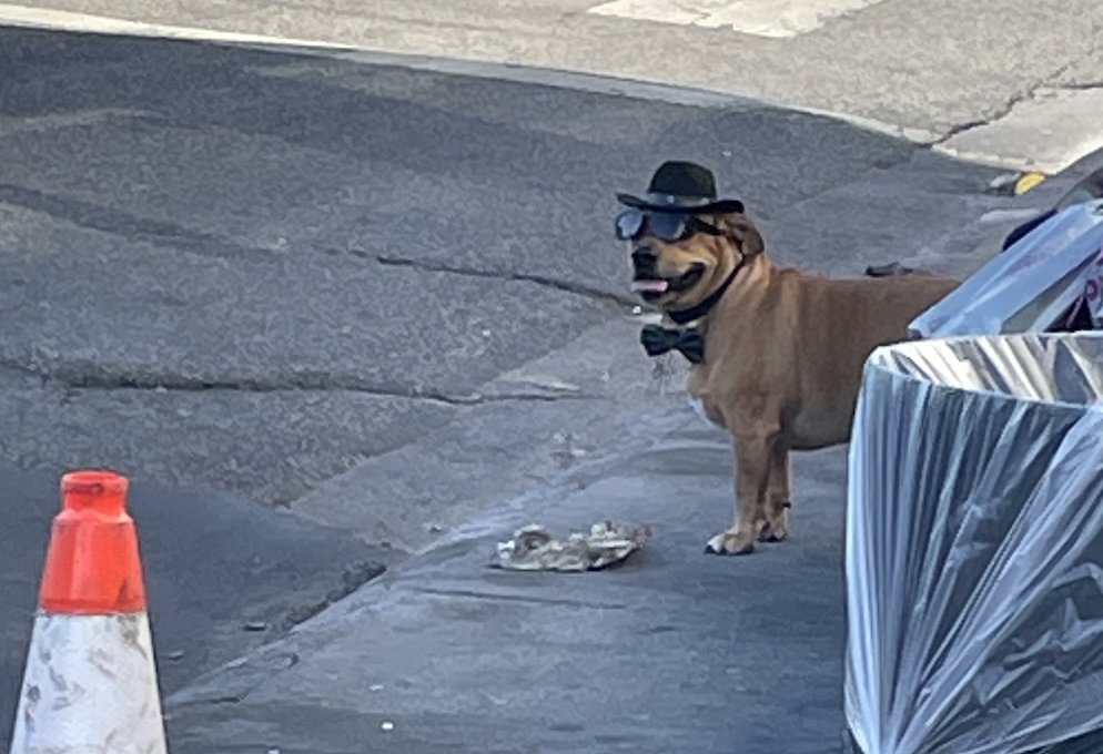 love living in LA, running into celebrities on the street