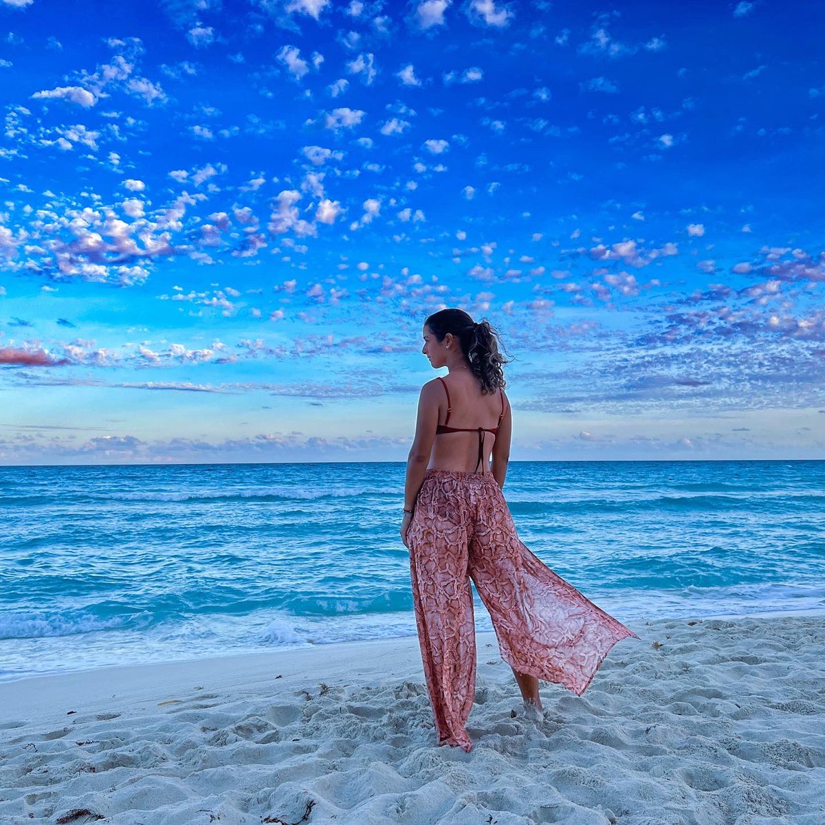 Isabella Fierro tweet media