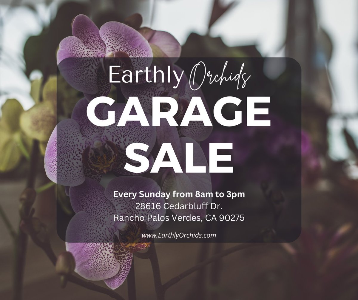 EarthlyOrchids's tweet photo. Starting this Sunday, October 30 onwards, we will be holding Weekly Garage Sales every Sunday from 8am to 3pm!

Hundreds of Live and Cut Orchids locally grown at our nursery.

When: Every Sunday, 8am to 3pm

Where: 28616 Cedarbluff Dr., Rancho Palos Verdes, CA 90275 https://t.co/a5roKRfCKR
