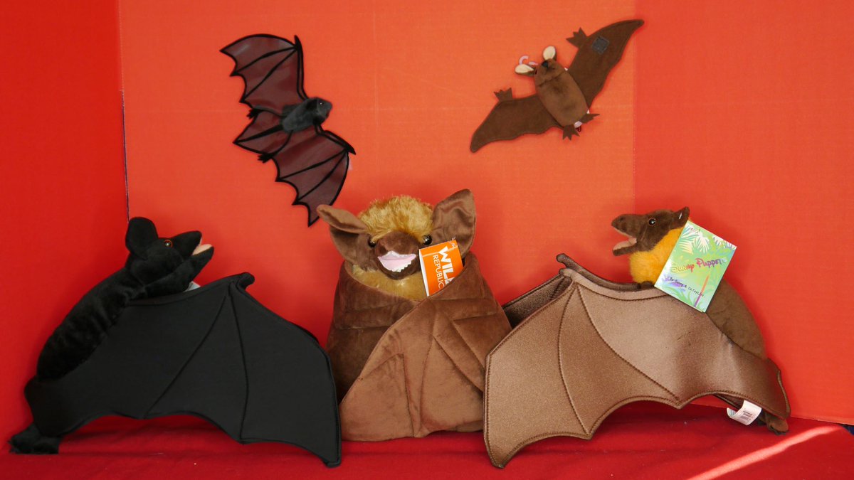CrowsCastle's tweet image. We are batty about Halloween!