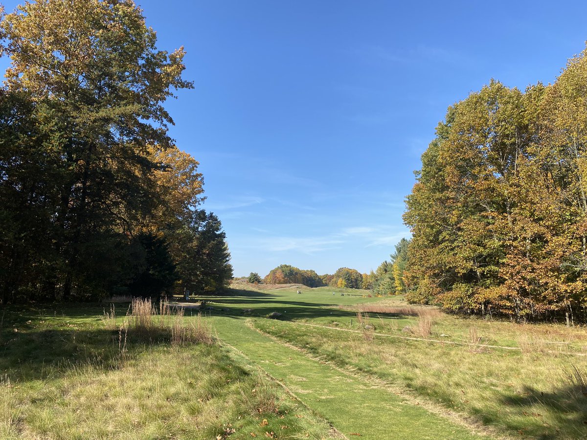 Diamond Springs Golf tweet media