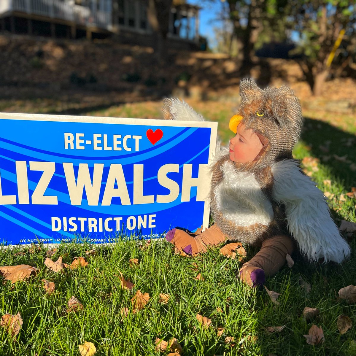 Liz Walsh tweet media