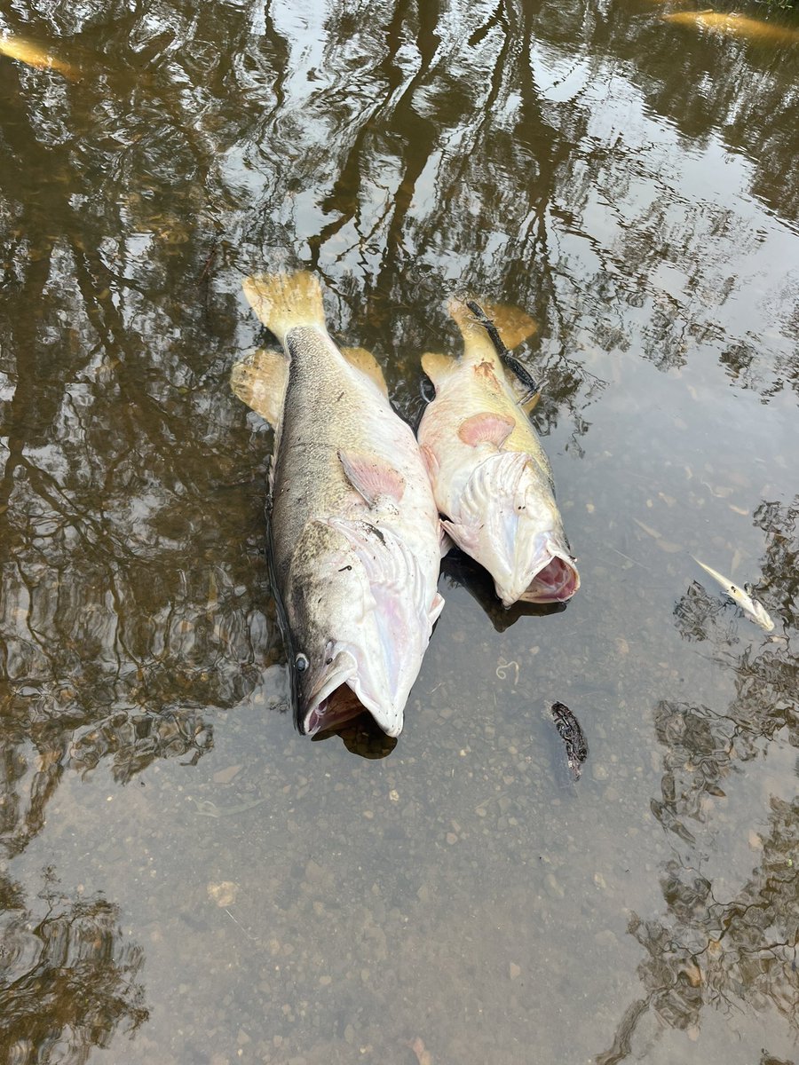 Warwick Long tweet media