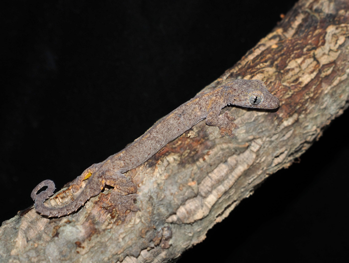 Endlesszone on Twitter 