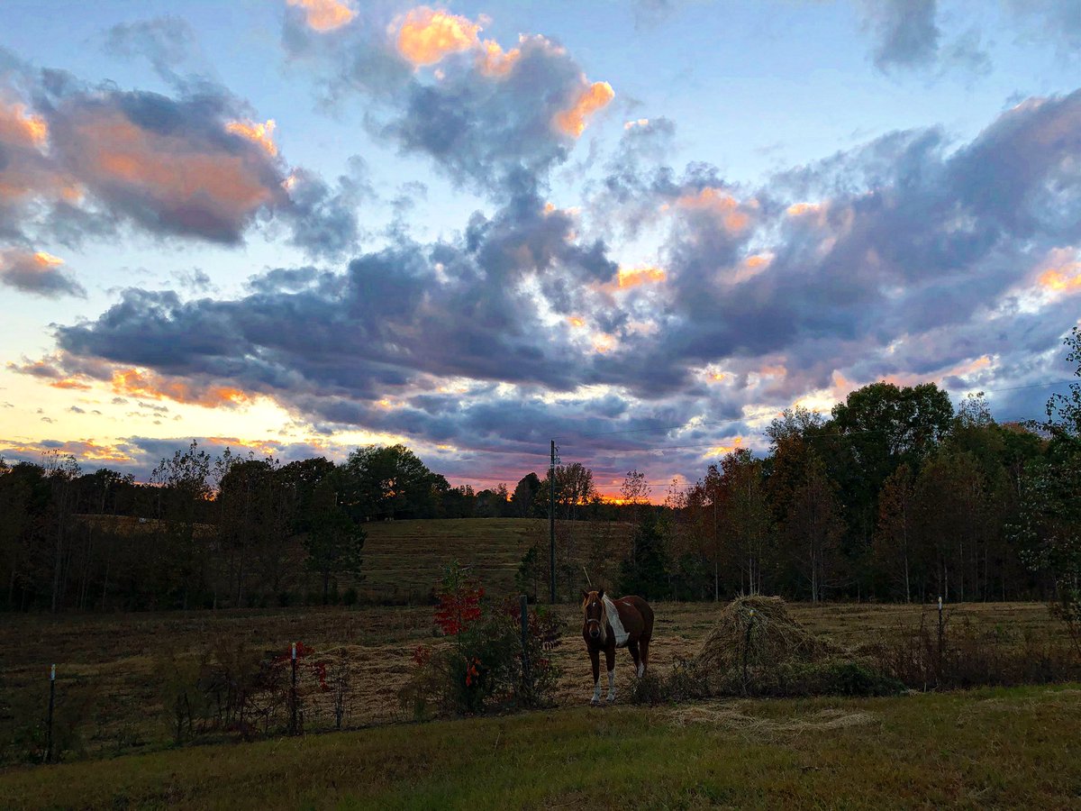 leeceelodi's tweet photo. Gorgeous sunset over D&amp;L Farm, Marion County this evening after the much needed (and thankfully uneventful) rain @spann https://t.co/AKz13ScPcC