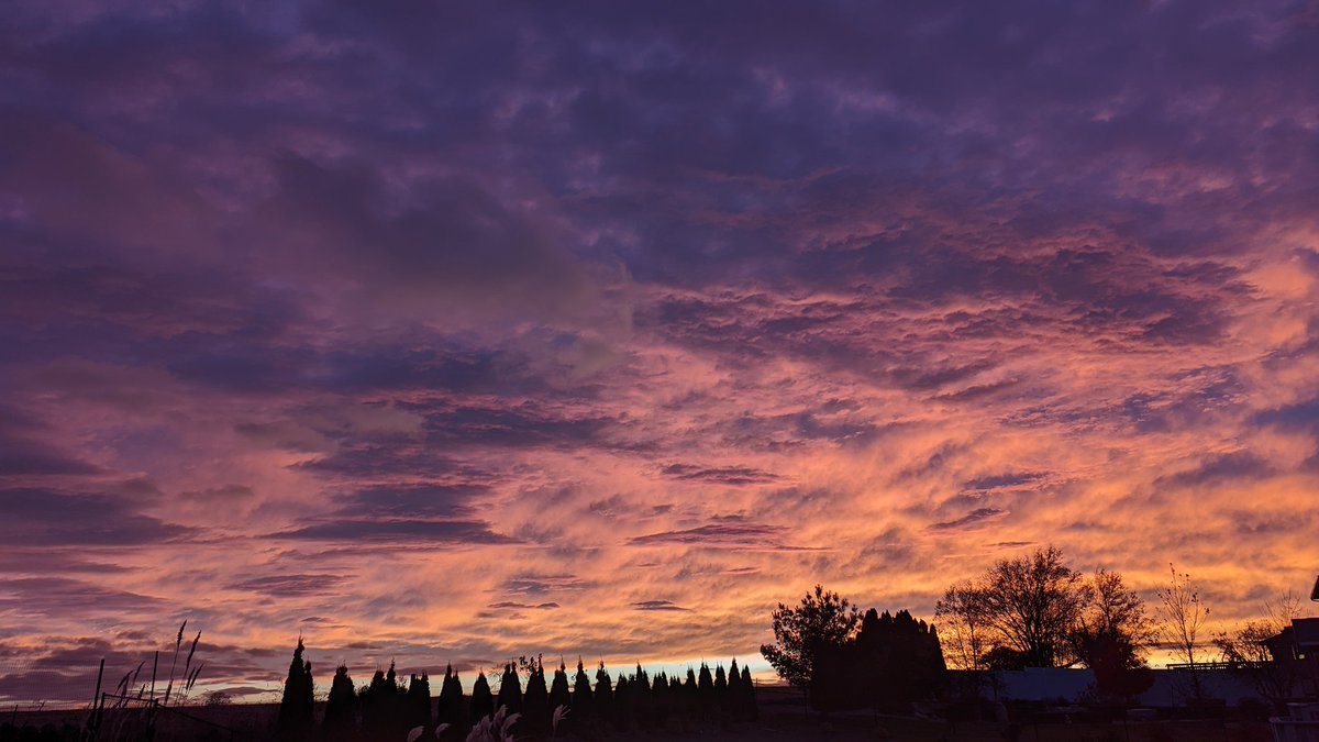 Mike Graber tweet media