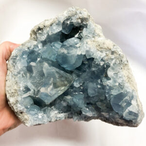 Sacredcrystals's tweet photo. Here's Our Hot Picks of the Month - https://t.co/hxKdPto0FU https://t.co/rsG0gfBX27