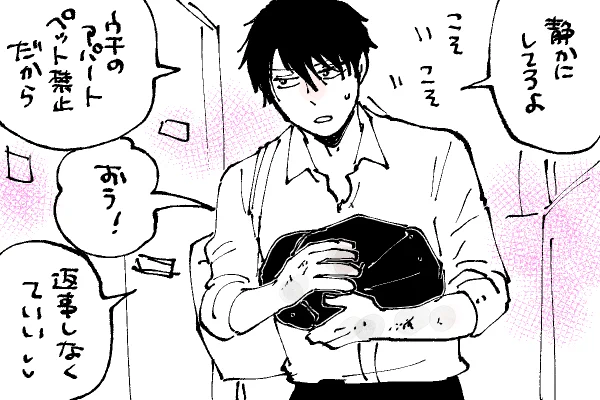 🐱キラキラにゃんこ生活
アパートへ移動🏠
2枚目は顕が巨乳ならすごい谷間でしょうねって角度🤣 