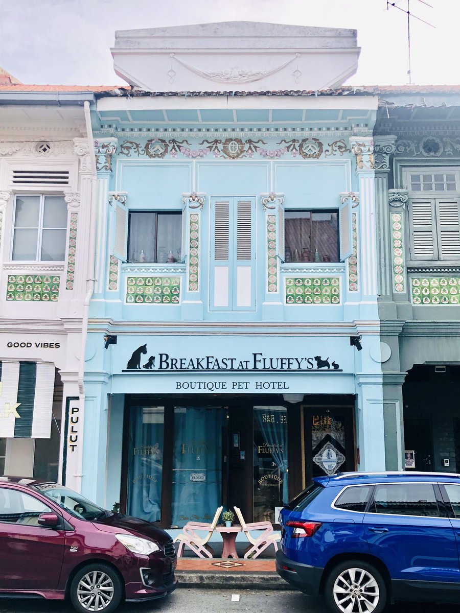 dashmeetchadha's tweet image. You’re cute #Singapore