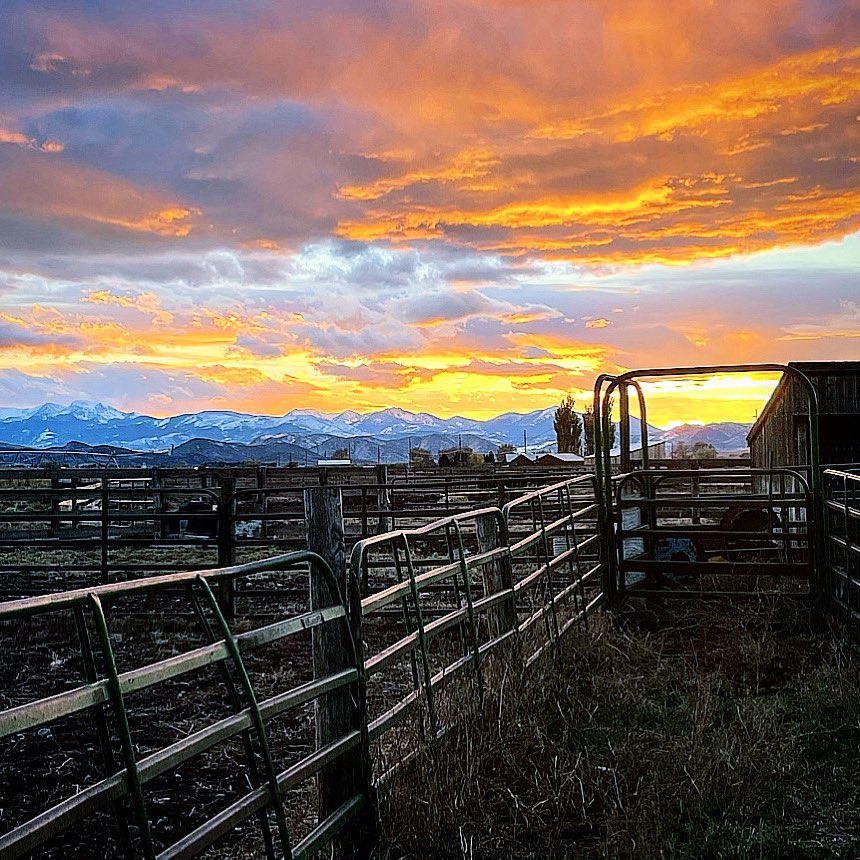 God had blessed me with this life! 🏔🔥🙌🏻🙏🏻
#montana #blessed #sunset #soberlife #mountains #ranchlife #liveoff #bellbottomcountry #laineywilsonmusic #yellowstonetv