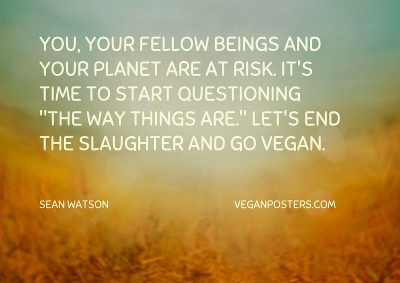 Vegan Posters tweet media