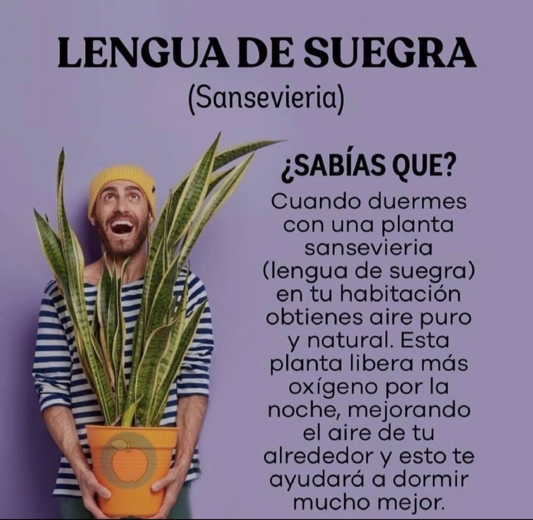 AtencionYoSoy's tweet photo. 🙏✨💫🌞Tip Salud🌞💫✨🙏

*Regálame un Hola para saber que me lees* https://t.co/Q3WNR4WsGi