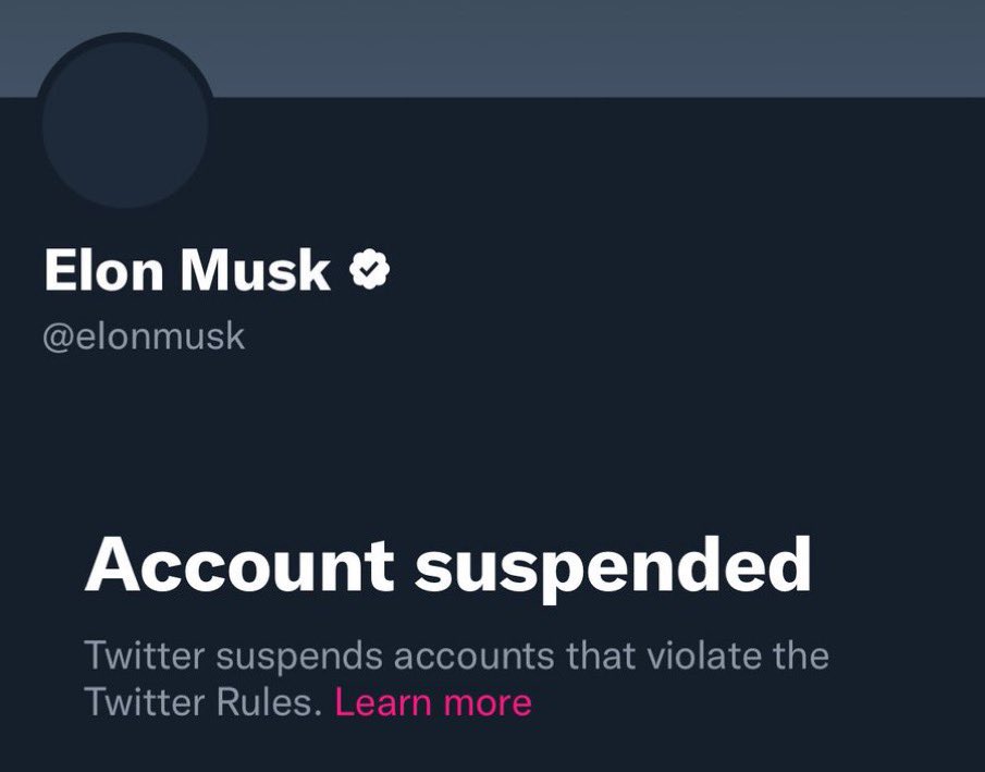 pewpn's tweet image. how tf did @eIonmusk get banned on his own app?