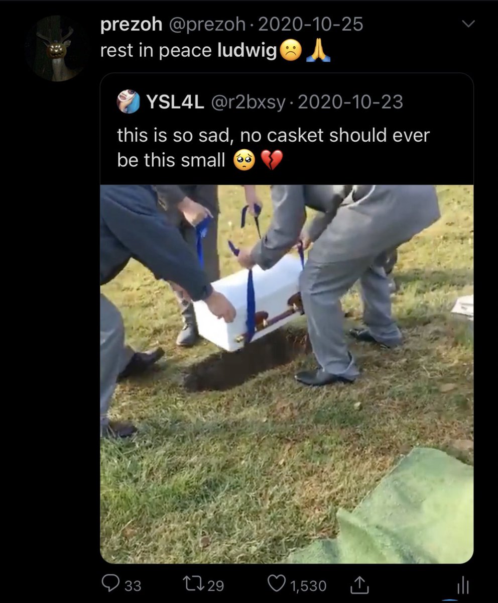 wtf was wrong with me