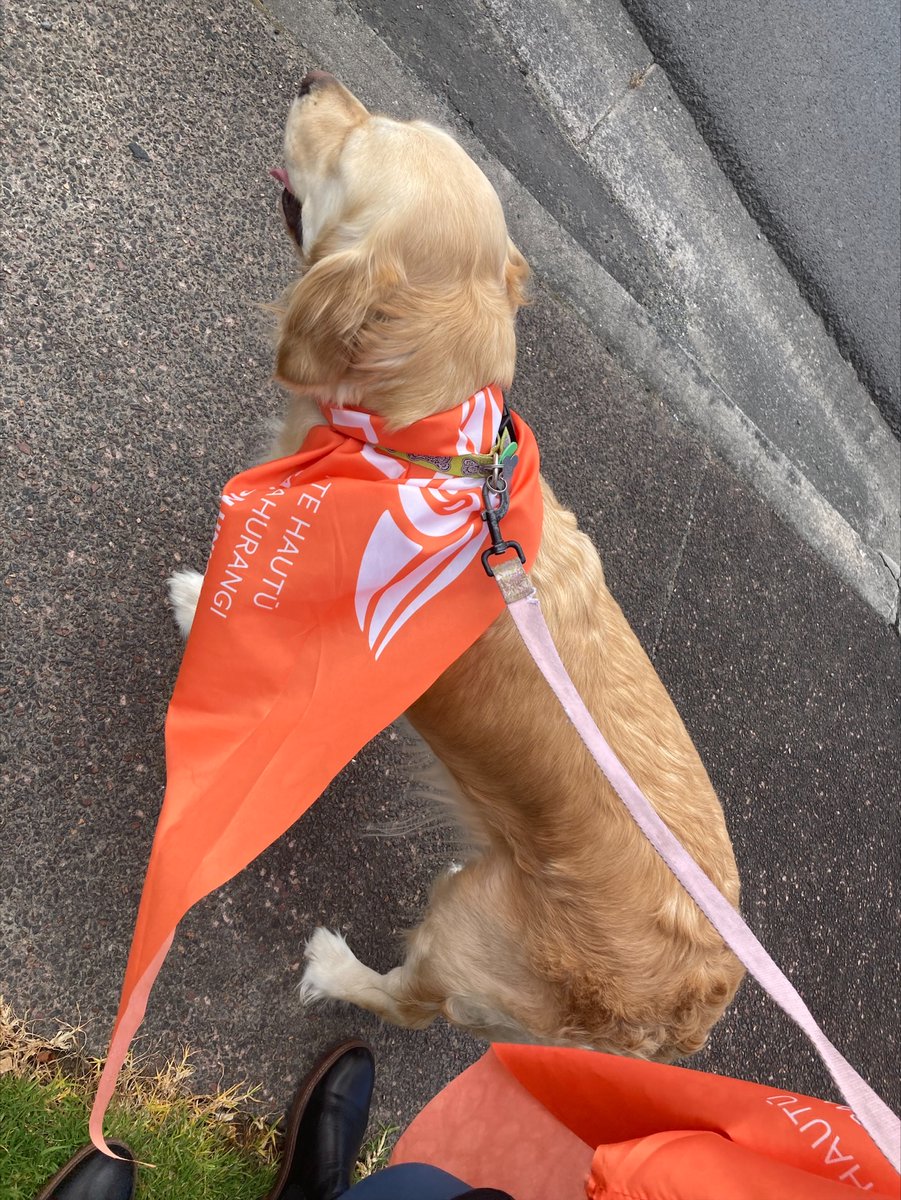 nzteu's tweet photo. We love a good #UnionDog #TEUonSTRIKE https://t.co/TKAPEkj79e