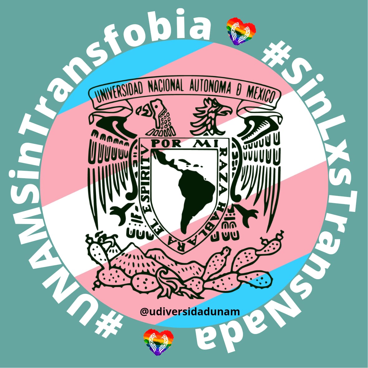 UNAMUDiversidad's tweet photo. Desde Udiversidad UNAM rechazamos totalmente todos los discursos transfobicos emitidos por cualquier persona, así mismo apoyamos totalmente a nuestrxs compañerxs de la #FFyLUMAM
#Unamsintransfobia
#AkuirpaTusEspacios https://t.co/NodbEGHSsD