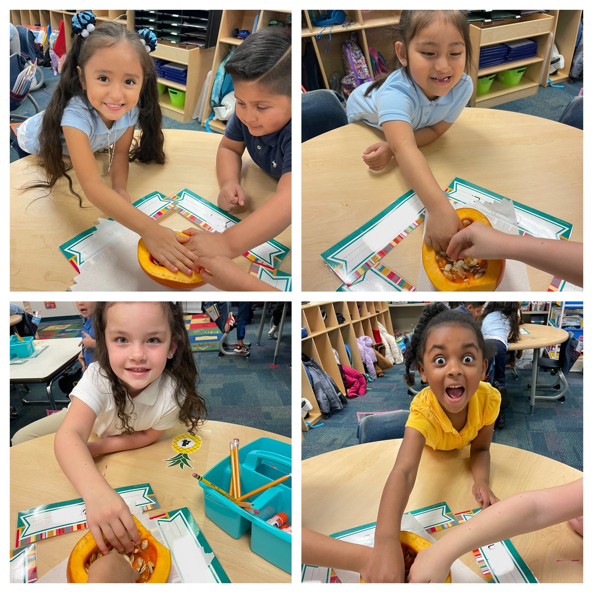 dissecting pumpkins 🎃 #webelieveinflc #kindergartenfun