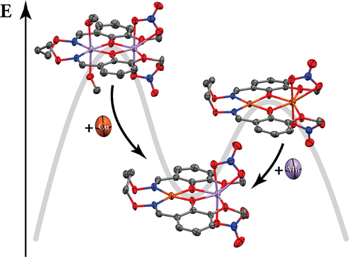 bhkenlo's tweet photo. Against the Norm: Non Irving–Williams Transmetalation in Transition Metal Dimers https://t.co/2ByKnjjUKG Plieger and co-workers @InorgChem #copper #manganese #CuCu #MnMn #CuMn #non_Irving_Williams #transmetalation #magnetic #DFT https://t.co/GYjxp1xG1c