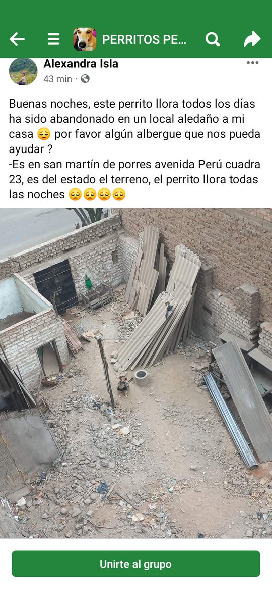 #AlertaCanina Perrito encerrado en la cuadra 23 de la avenida Perú necesita ayuda publicación de Alexandra Isla en Facebook, si alguien puede apoyar.