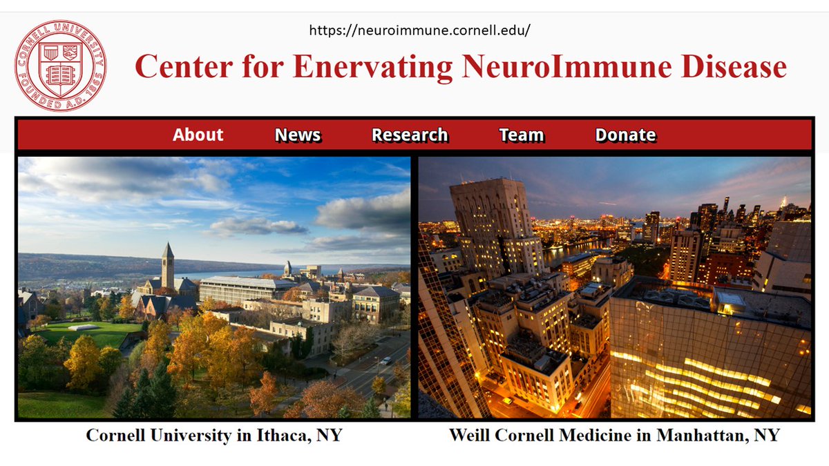 Preprint produced by the Cornell ENID Center now available. Describes single cell RNA sequencing of immune cells, which identifies classical monocytes as highly dysregulated in ME/CFS subjects vs sedentary controls tinyurl.com/4e7cdeum