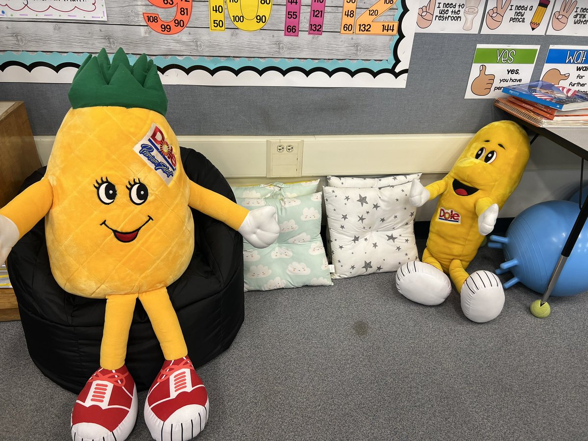 Katy Novoa tweet media