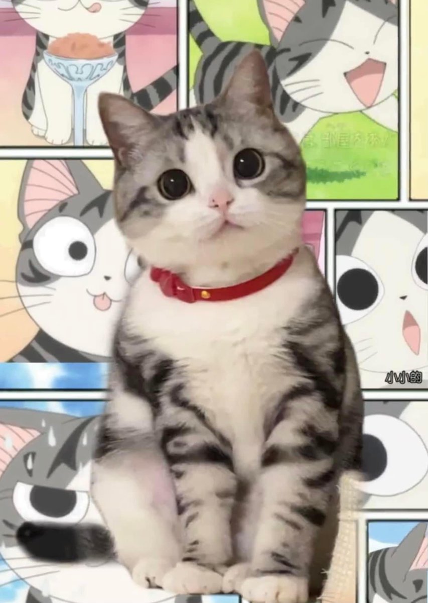 จี้จังเวอร์ชั่นตัวจริง น่าร๊ากกกก