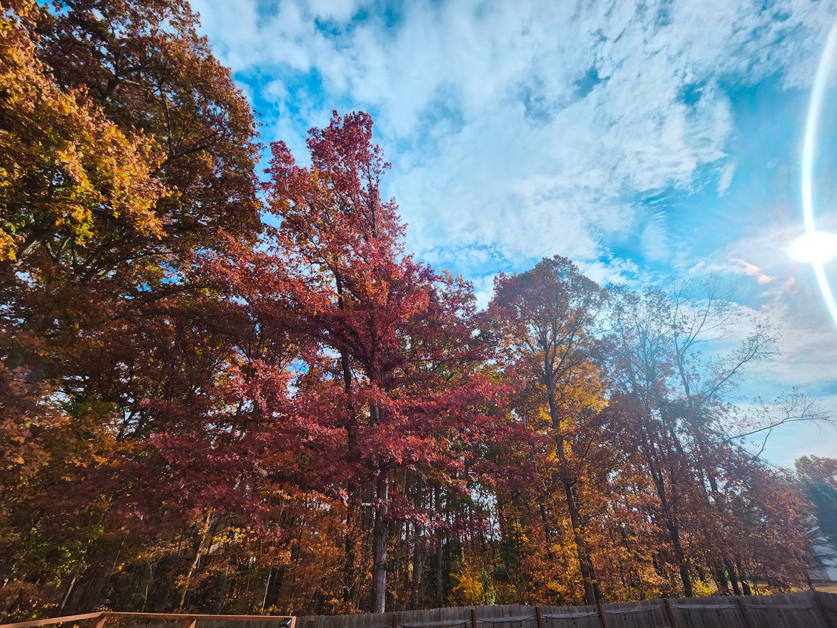 Youhavejess's tweet photo. Moving across the country for a better life has been the best decision of my life. I feel free ✨️🤍 this is our backyard 😍 CA --> IN https://t.co/QtdNZothQe