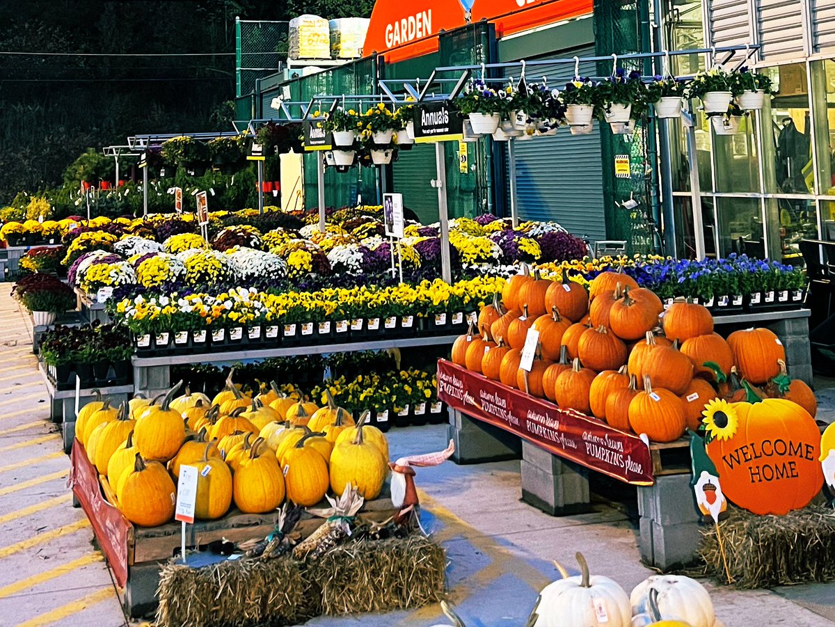 Bell rocks thank you looks fantastic 4118 :)