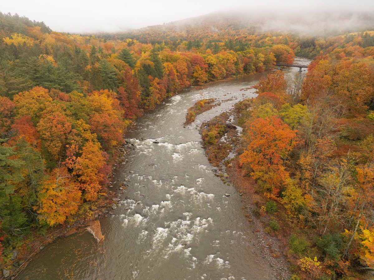 imagerydrones's tweet photo. Fall Color in the #catskills #Foliage https://t.co/hVlbDxg4uL