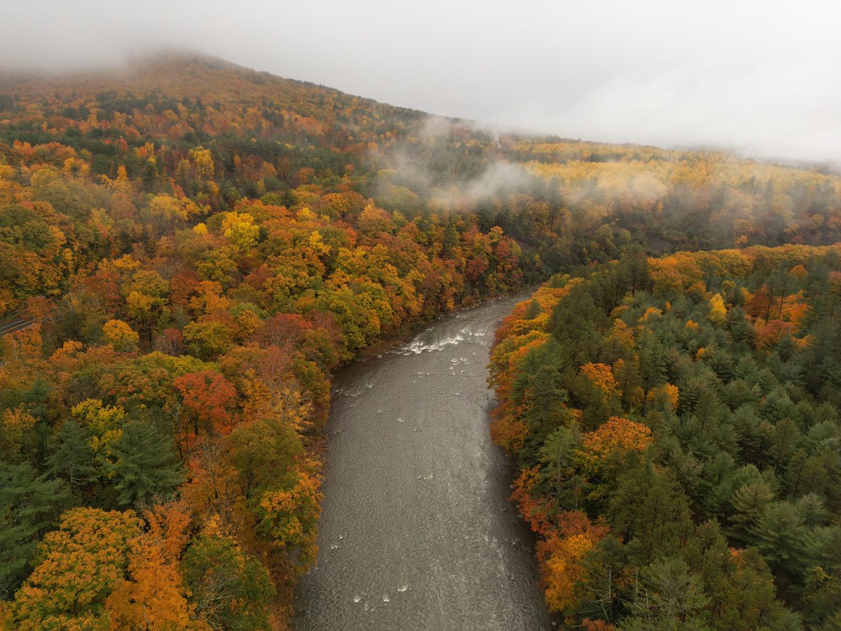 imagerydrones's tweet photo. Fall Color in the #catskills #Foliage https://t.co/hVlbDxg4uL