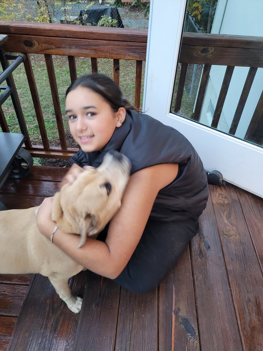 elshaylor's tweet photo. And a personal highlight was meeting @JoeBrownUNC dog of twitter - Daisy, IRL with my eldest puppy!! https://t.co/BzWdyQFHNA